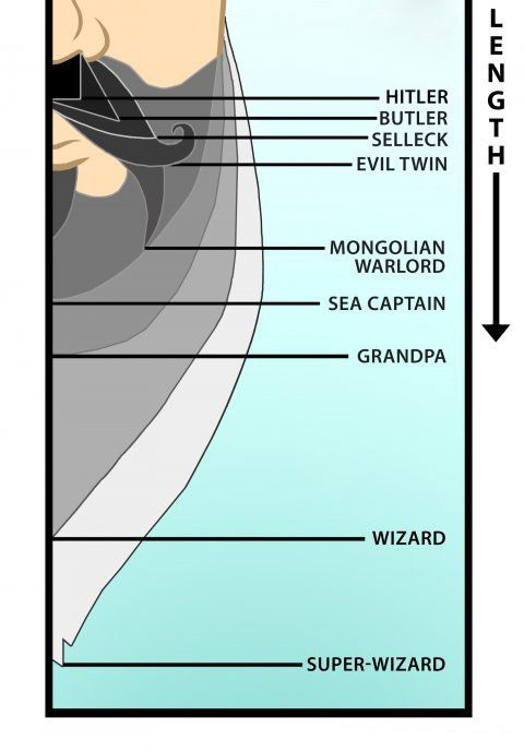 How does your beard stack up?