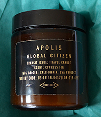 Apolis Cypress Fig Travel Candle
