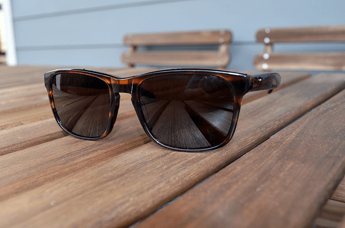Dome Shades in Tortoise
