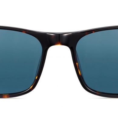 Perkins Wide sunglasses in Burnt Honeycomb Tortoise (Non-Rx)