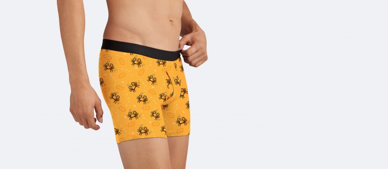 Cancer Boxer Brief w/ Fly