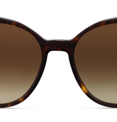 Nancy Wide Sunglasses in Cognac Tortoise (Non-Rx)