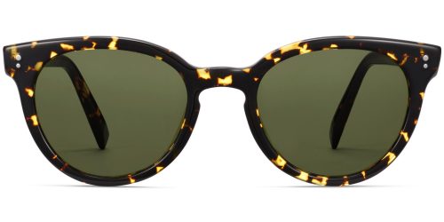 Taye Wide Sunglasses in Black Oak Tortoise (Non-Rx)
