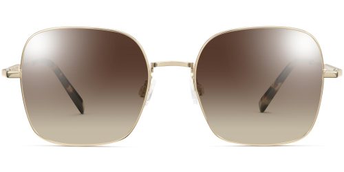 Aniyah Wide Sunglasses in Polished Gold (Non-Rx)