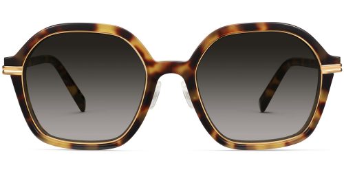 Esperanza Wide Sunglasses in Brioche Tortoise with Polished Gold (Non-Rx)