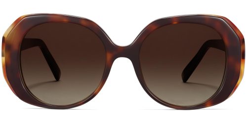 Rosa Wide Sunglasses in Burnt Umber Tortoise with Marcona Tortoise (Non-Rx)