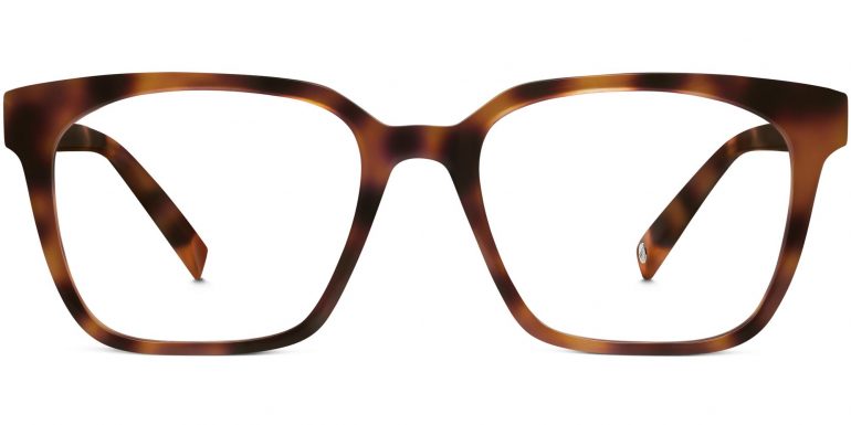 Hughes Wide Eyeglasses in Layered Tortoise (Non-Rx)