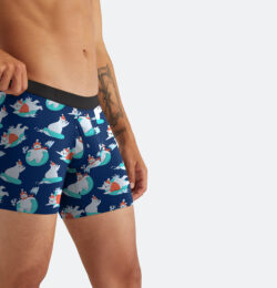 Beary and Bright Boxer Brief w/ Fly