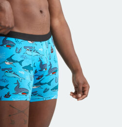 It's a Mystery! Mystery Boxer Brief 10-Pack