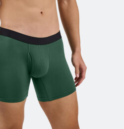 Spruced Up Boxer Brief w/ Fly