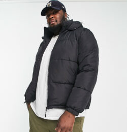 Brave Soul Plus puffer jacket with hood in black