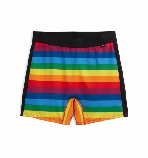 4.5" Swim Shorts - Rainbow Pride Stripe