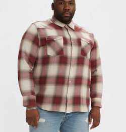 Levi's Classic Western Flannel Shirt (Big) - Men's L